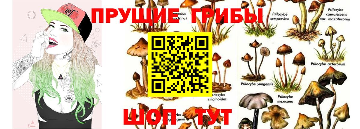 Октябрьский  Галлюциногенные грибы прущие грибы  Вход с VPN 
